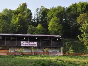 Floare de Maramures 2
