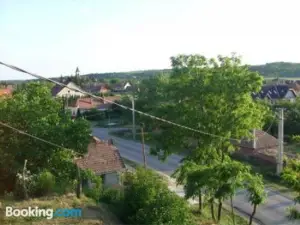 Sas-Fészek Vendégház