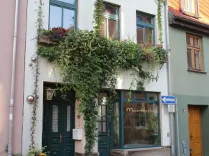 Ferienwohnung-im-Mauerbluemchen
