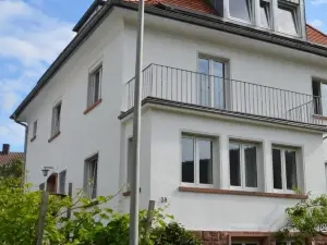 Panorama-Blick Miltenberg, 3 Pers., Zentr., am Main, Terrasse, Bootverleih, P