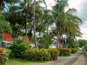 V Resorts Anandvan Wai