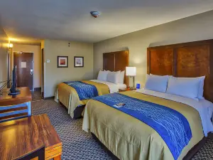 Comfort Inn Edwardsville - St Louis
