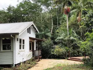 Peaceful Rainforest Wildlife Retreat