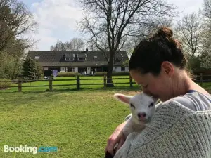 Het Geheim Van Merselo