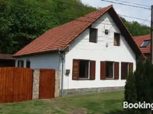 Casa Sasca Montana
