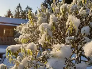 Sörmlandsidyll I härlig Natur