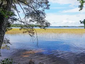 Rimforsa
