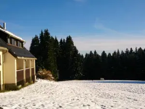 Waldhotel Zöbischhaus