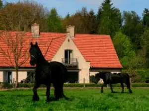 B&B Heerlijkhyd