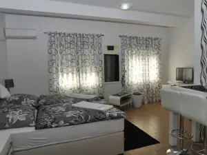 Apartment Jovana Nikšić