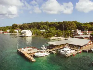 Utila Lodge