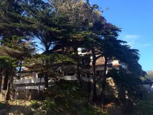 Casa Wilson