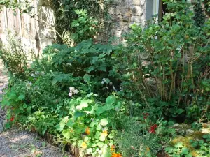 Yourte Bourgogne