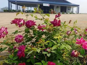 Red Door Collective - Rdc Vineyard Estate, Luxury Adult Only Stay