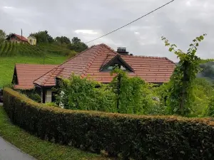 Wine & Nature & Tour