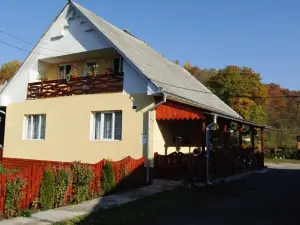 Casa Pintea de Sub Coastă