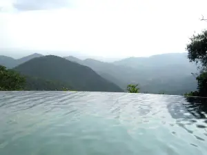 Wildernest Nature Resort