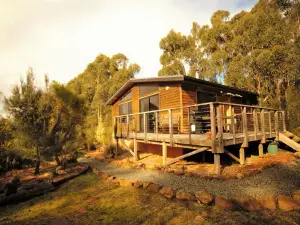 Southern Forest Accommodation