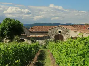 Le Trésor des Templiers