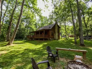 Sycamore - Hocking Hills