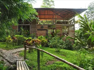 綠色足跡雨林旅館