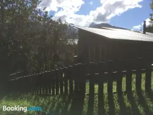 Patagonia Nativa