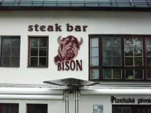 Ubytování Nad Bisonem