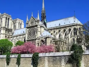 My Nest Inn Paris Quartier Latin - 27m2 - Rénové