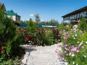 Happy Nomads Yurts & Hostel