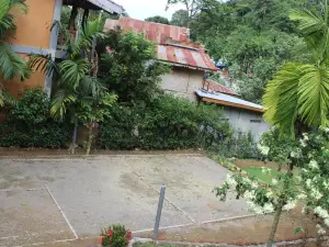 Rain Forest Guest House and Jungle Trekking
