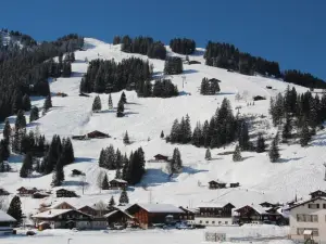 Chalet Mittaghorn
