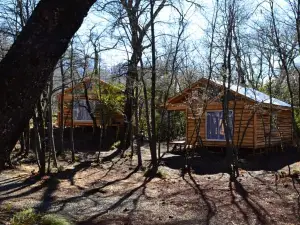 Cabañas Huilipan