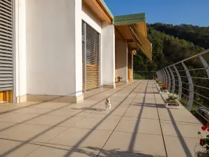 Agriturismo Alveare Sul Lago
