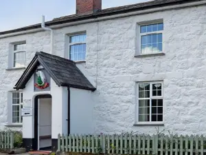Bwch yn Uchaf B&B