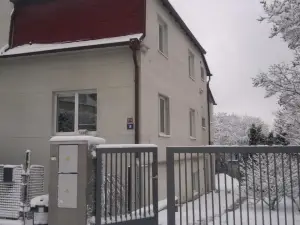 Family Apartment Bila Hora BH16