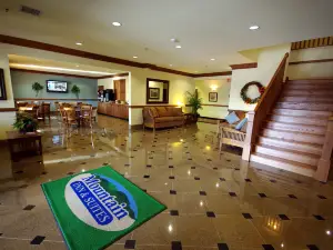 亨德森維爾機場山林假日套房酒店