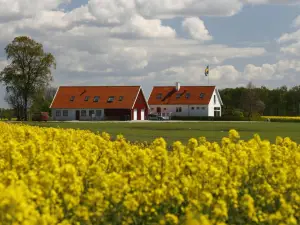 Hobykrok B&B