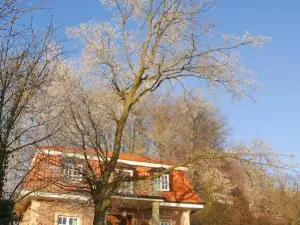 Hotel Und Restaurant Steverburg