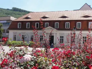 Villa Feuchtl