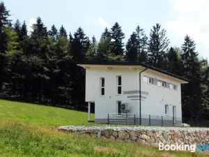 Ferienhaus Grobauer II