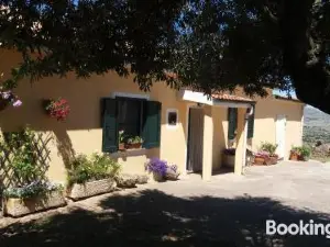 Agriturismo SA è Padedda