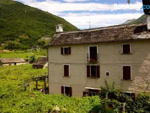 Bed & Breakfast Uvablu