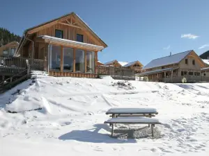Luxurious Chalet by the Ski-slope in Hohentauern With Infrared Sauna