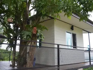Phongtang garden Hill Homestay