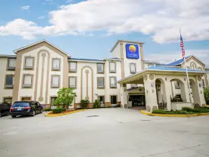 Comfort Inn & Suites la Grange - Louisville Area