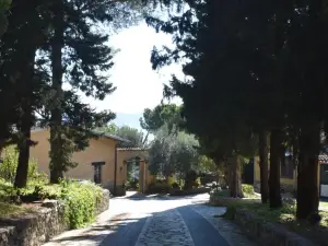 Azienda Agrituristica Biologica Il Querceto