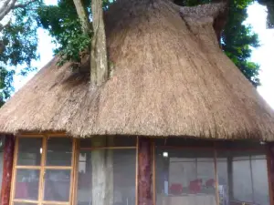 Cabañas Zoh Laguna Calakmul