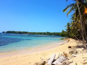 Drago Beach House - Private Beach