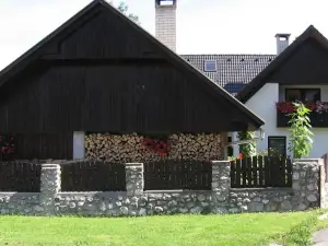 Naša hiša