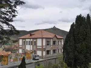 Guesthouse Dariali